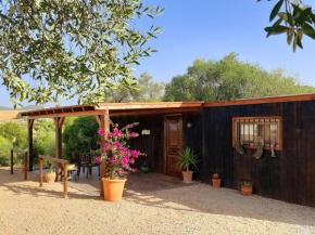 Preciosa Casa de Madera, Andalucía Prado Del Rey